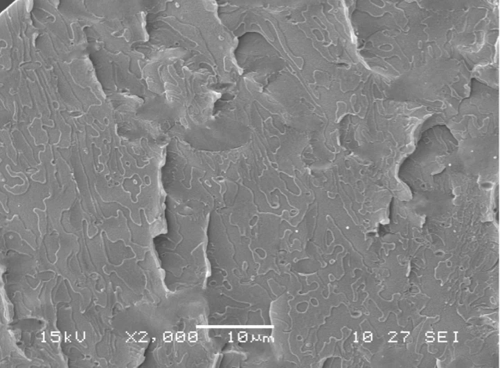 SEM PET-PE compatibilizzato