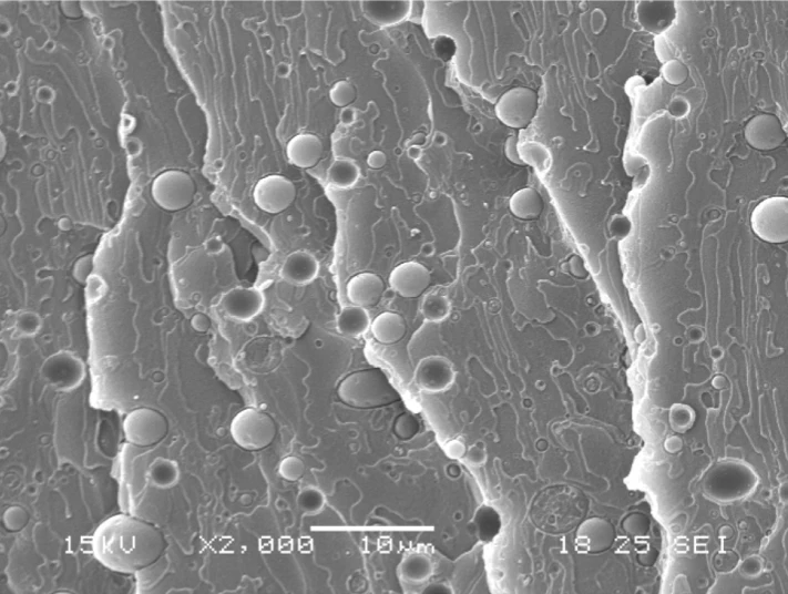 SEM PET-PE non compatibilizzato