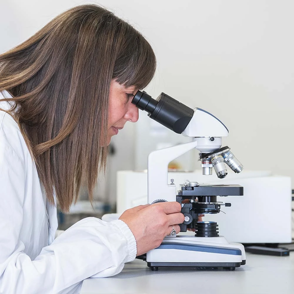 studio di fattibilità materiali polimerici SPINPET